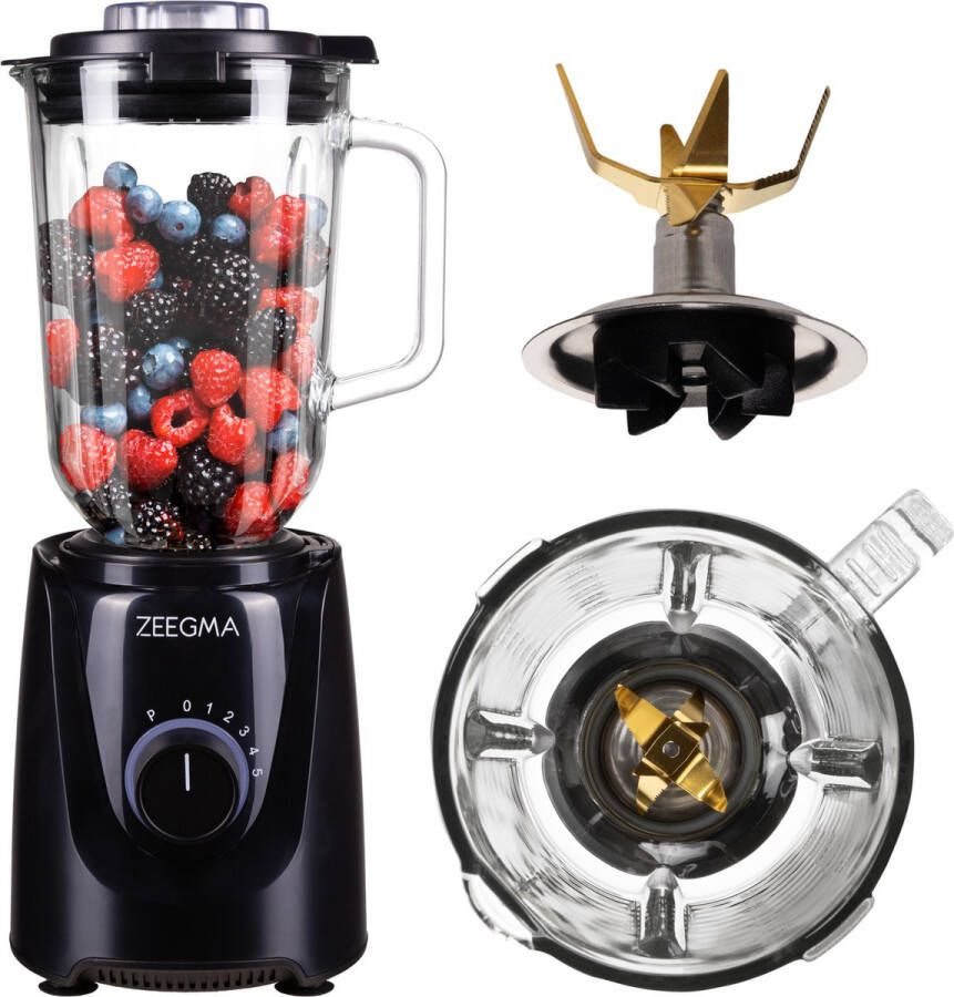 Zeegma GRAND VITAMINE BASE Beker blender Glazen beker 5-traps snelheidsregeling en PULSE-modus 1000W nominaal vermogen IJscrushercapaciteit